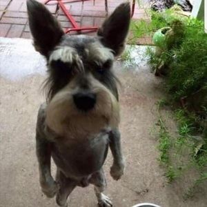 Meet your Posher, Laura